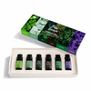 Pure Sauna Saf 6’lı Uçucu Yağ Seti - Özel Seçki Buhurdanlık ve Difüzör Kokusu (6 x 10 ml)