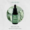 Pure Sauna Saf Okaliptüs Uçucu Yağı 30 ml - Eucalyptus Globulus - Buhurdanlık ve Difüzör Kokusu